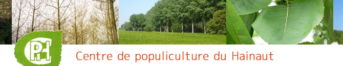 ASBL CPH populiculture